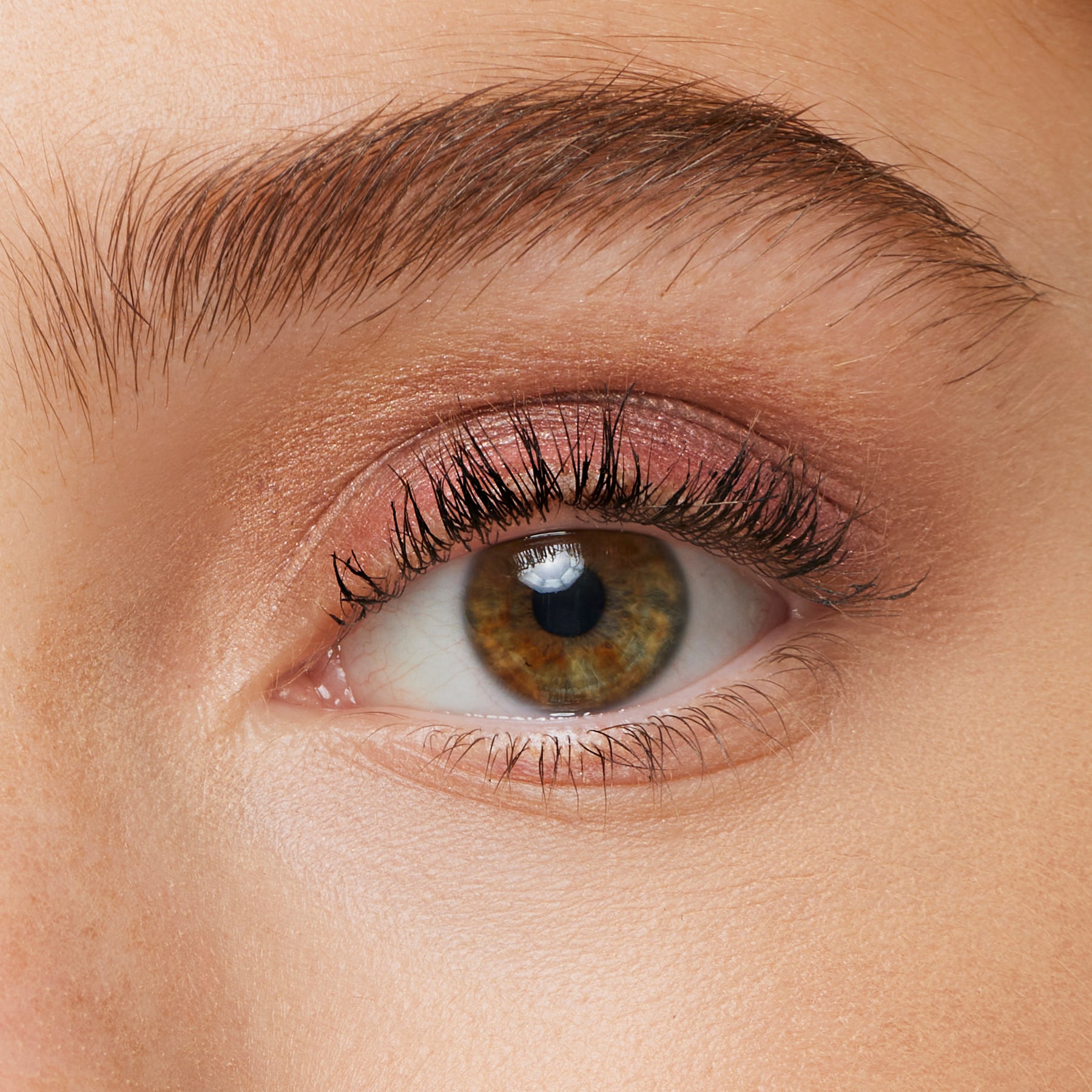 #couleur_cep4 (MAUVE CHAUD)